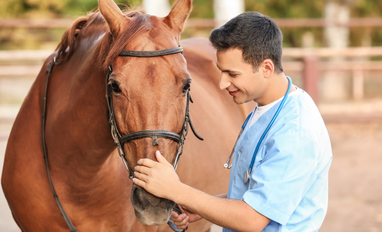 mapa institui maio como mes da saude animal 1