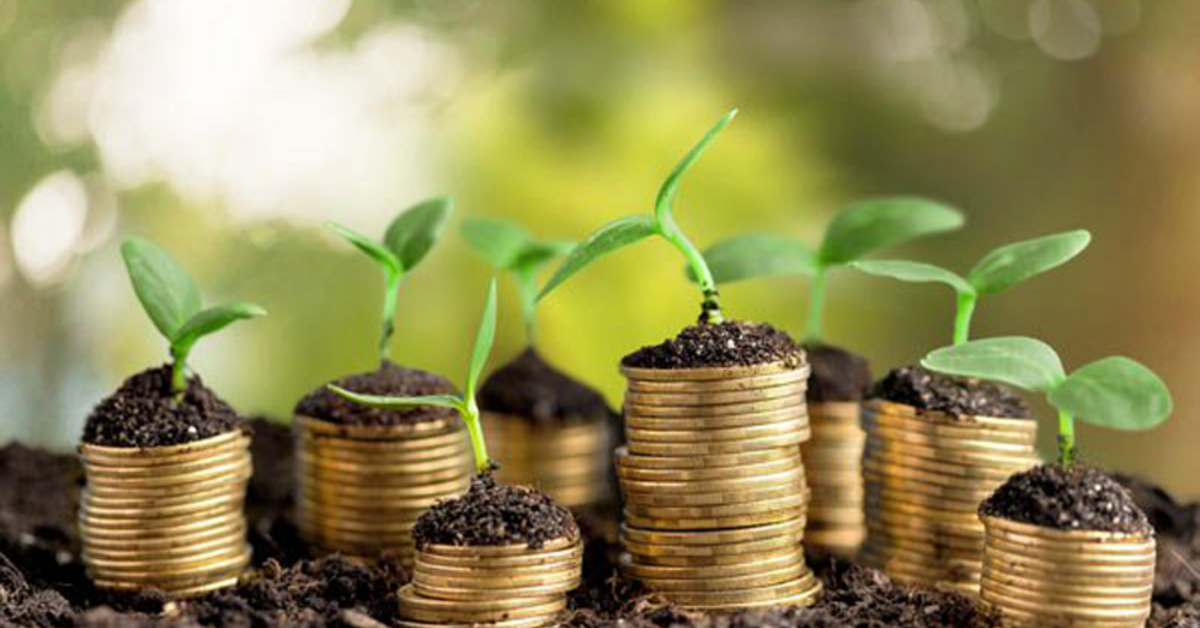 mercadante anuncia recursos de r 36 bilhoes via pronaf para safrinha portal dbo