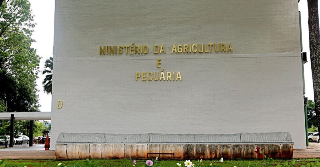 Ministério da Agricultura participa de construção do Plano Plurianual do governo • Portal DBO 2 ministerio da agricultura participa de construcao do plano plurianual do governo portal dbo 2