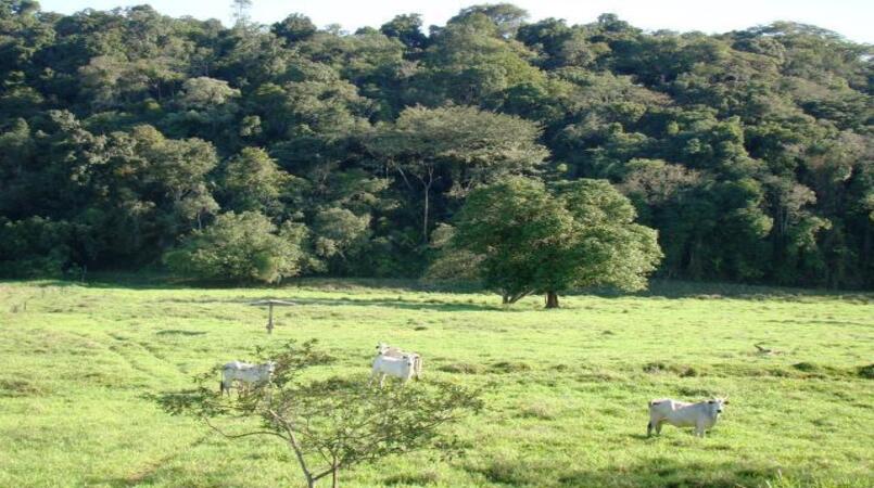 ministro vai aos eua defender agropecuaria sustentavel e acoes socioambientais 1