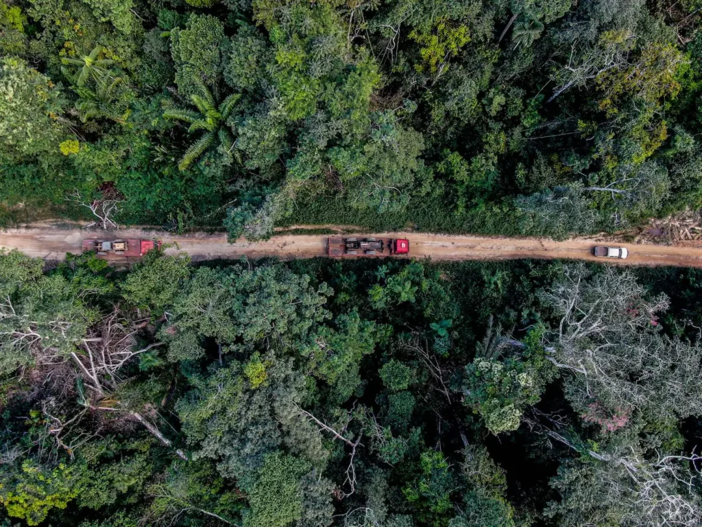 MT investe em tecnologia, contratações e aeronaves para enfrentar incêndios e desmatamento 2 mt investe em tecnologia contratacoes e aeronaves para enfrentar incendios e desmatamento