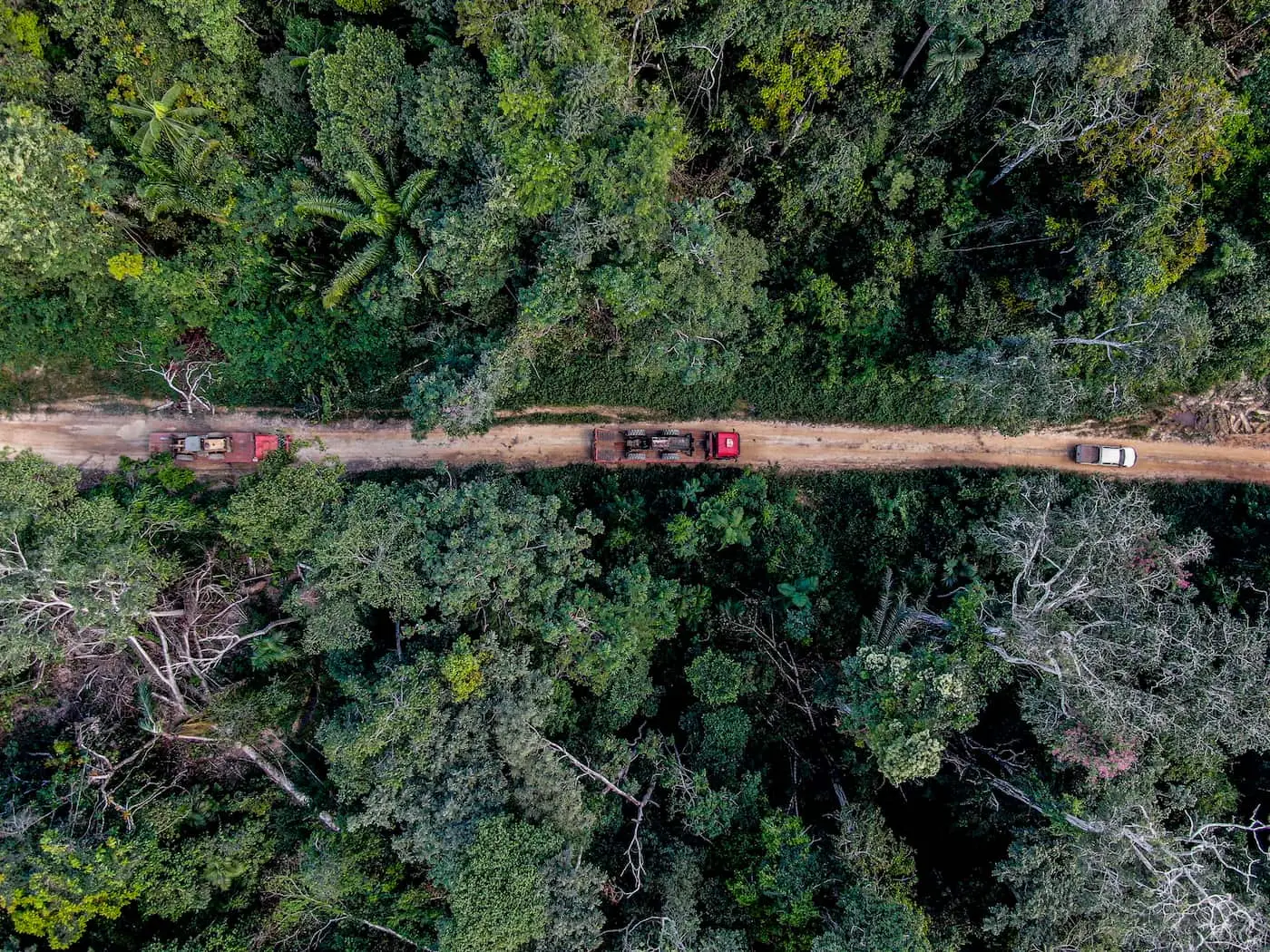 mt investe em tecnologia contratacoes e aeronaves para enfrentar incendios e desmatamento