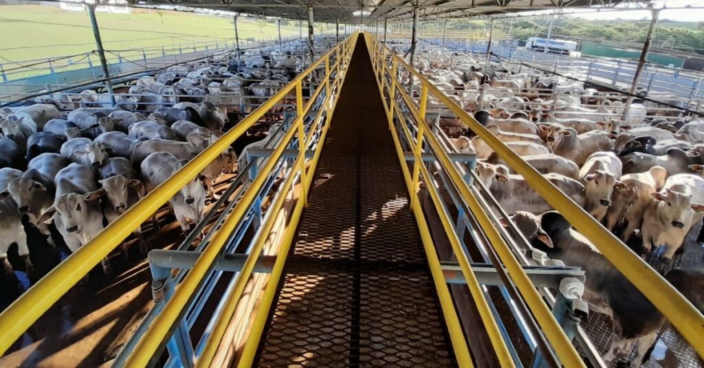 ofertas em alta escalas confortaveis e demanda interna fraca portal dbo