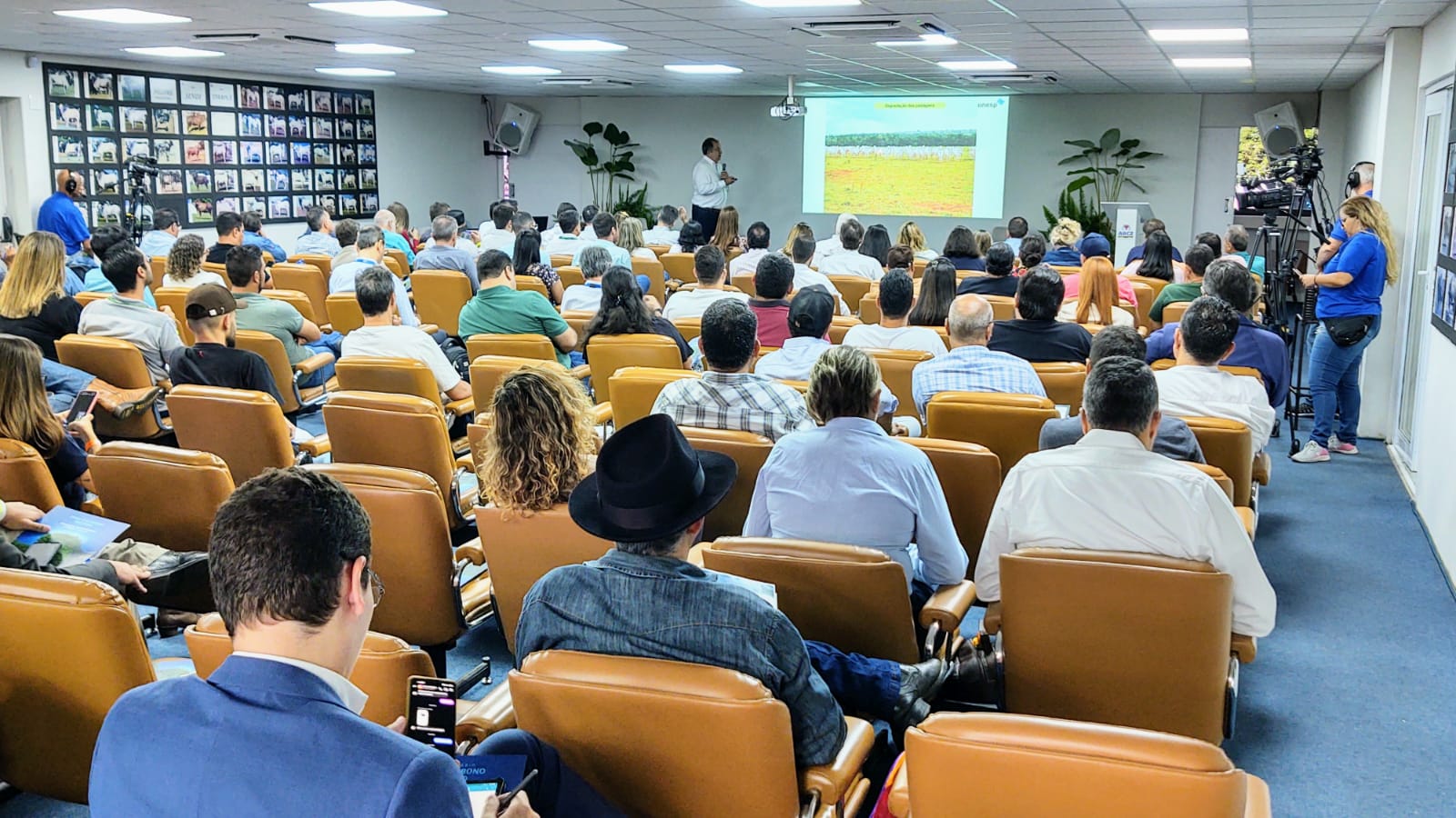 pecuária bovina, mercado de carbono, redução de emissões, gases de efeito estufa, pecuária sustentável, agropecuária, bovinocultura, sustentabilidade, mudanças climáticas, meio ambient