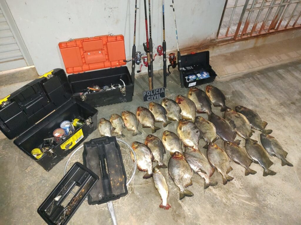 Peixes e material usado em pesca predatória são apreendidos pela Polícia Civil 2 peixes e material usado em pesca predatoria sao apreendidos pela policia civil
