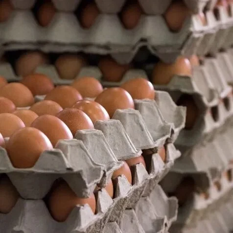 por que a lentidao na liquidez esta pressionando os valores das cotacoes dos ovos 2