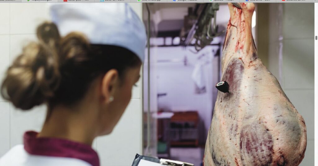 prazo para recebimento de subsidios a regulamentacao da lei do autocontrole e prorrogado portal dbo