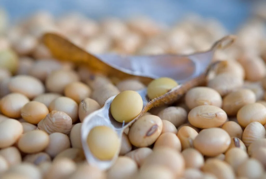 preços médios mensais, soja, baixos, março 2020, agricultura, mercado, commodities, produção, exportação, safra