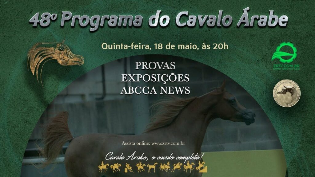 programa cavalo arabe 48 provas exposicoes e abcca news 1