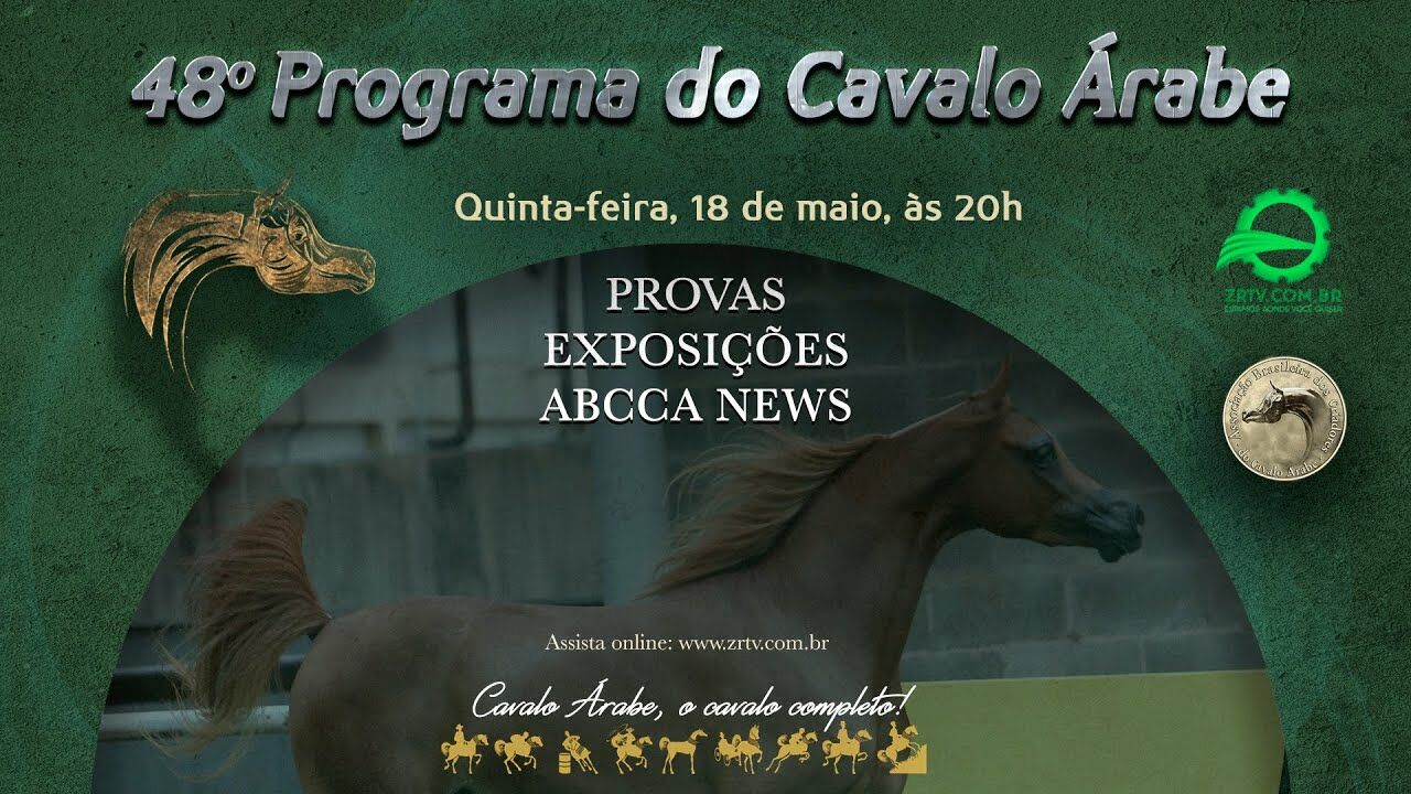 programa cavalo arabe 48 provas exposicoes e abcca news 1
