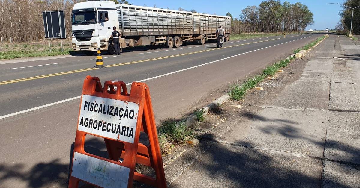 programa sentinela completara 3 anos em julho portal dbo