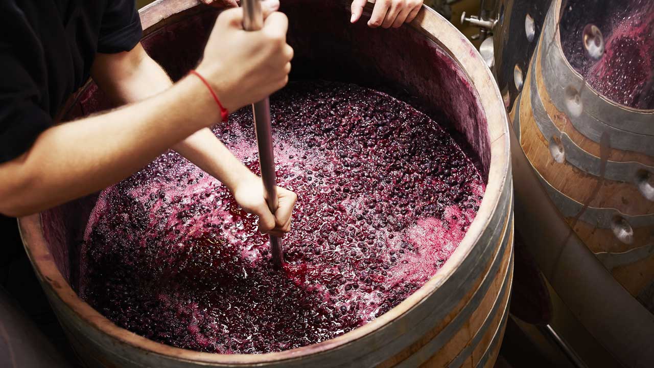 resultados da agricultura de precisao na producao de vinhos sao apresentados na agrishow