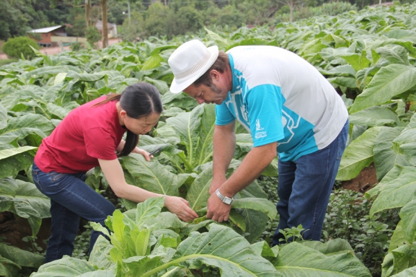 reunioes discutem melhorias na defesa agropecuaria e na vigilancia fitossanitaria 1