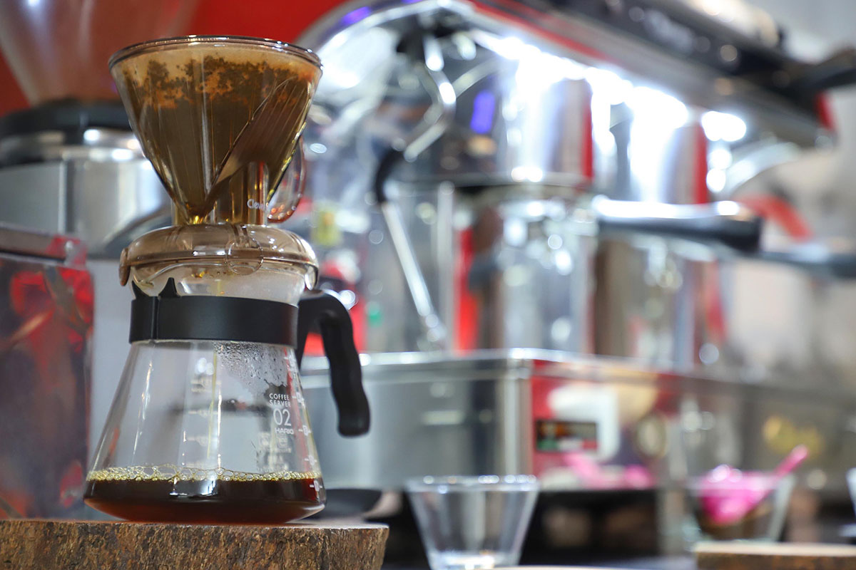 safra 2023 2024 anima setor cafeeiro