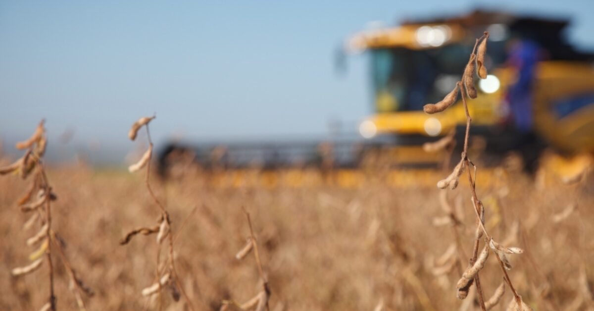 safra 2023 alcancara recorde de 3021 milhoes de t 148 maior que a de 2022 diz ibge portal dbo