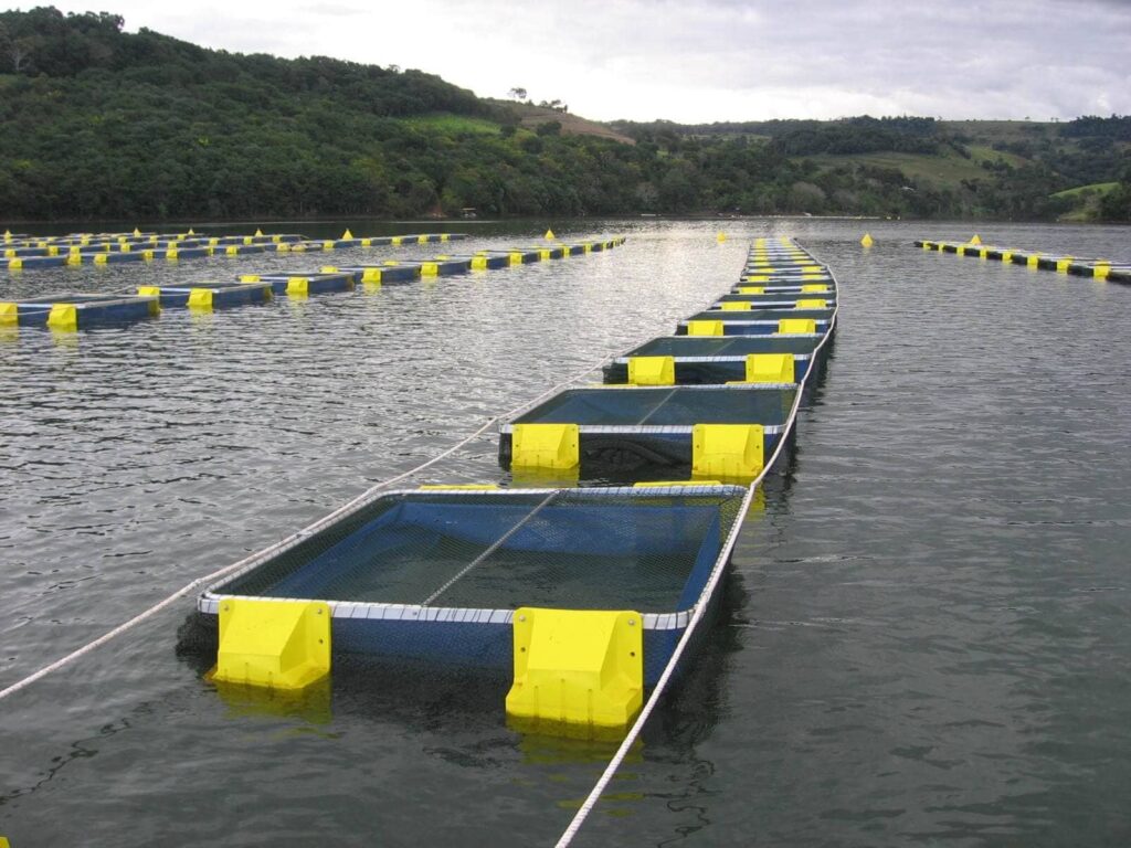 satélites, mapeamento, viveiros, produção aquícola, Brasil, gestão ambiental, controle de pragas, milho, colheita, principais pragas, combate às pragas, prevenção de pragas, manejo integrado de pragas, produção agrícola, agricultura.