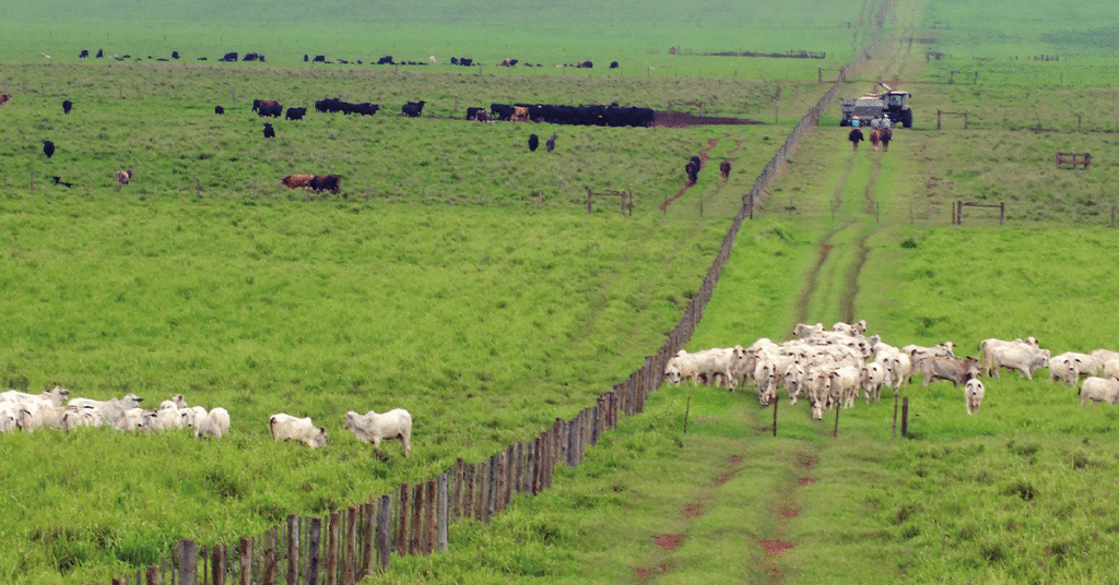 semana comeca com quedas nas pracas de sp e do ms apurou a sp global portal dbo