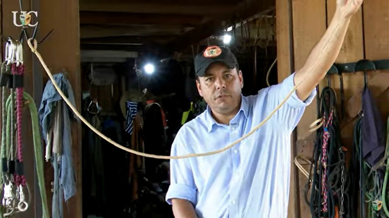 tv uc ensina como dar no para amarrar cavalos 1