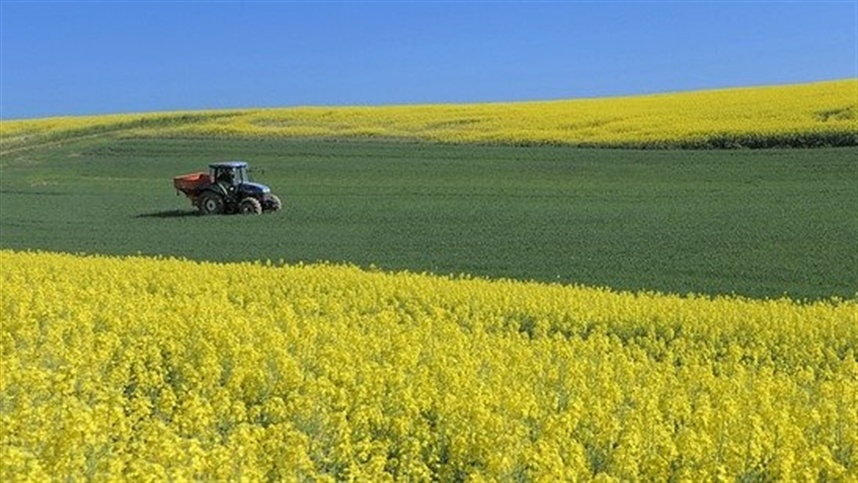 umidade beneficia as culturas do sul dos estados unidos 1