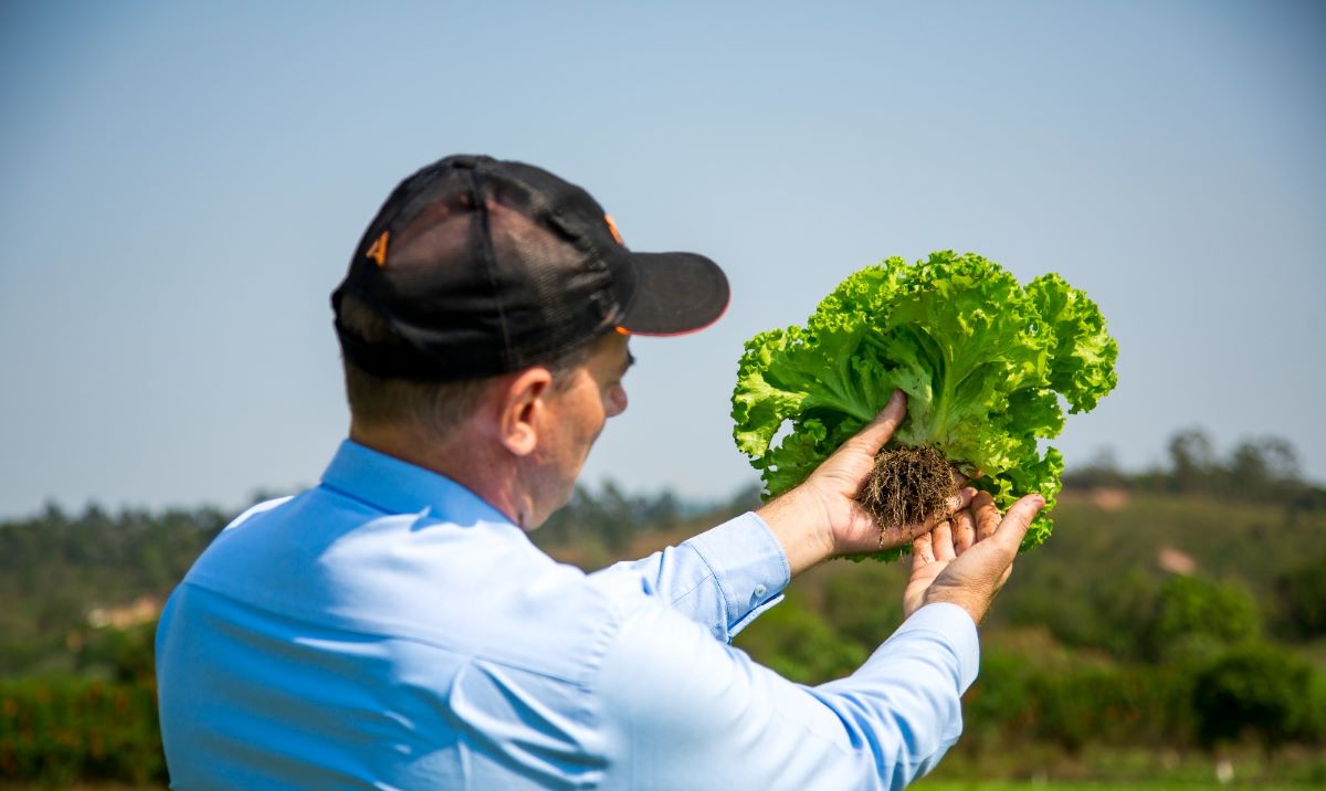adubos com tecnologia organica exclusiva aumentam eficiencia na hortifruticultura 1