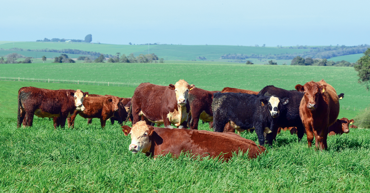 agropecuaria puxa queda do pib do rs no 1o trimestre ante 4o tri de 2022 portal dbo