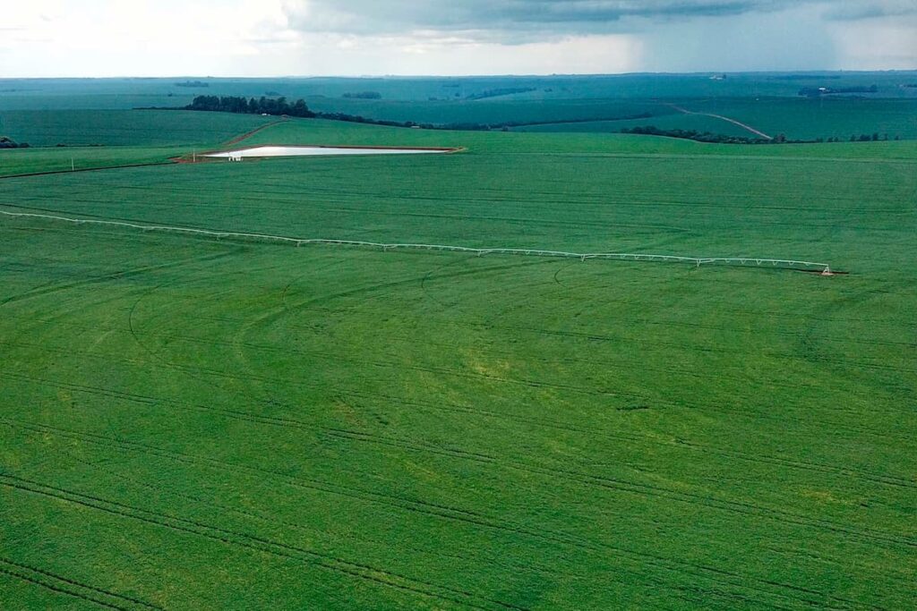 Alerta para risco de prejuízos para safras de milho e cereais de inverno por causa do El Niño 2 alerta para risco de prejuizos para safras de milho e cereais de inverno por causa do el nino