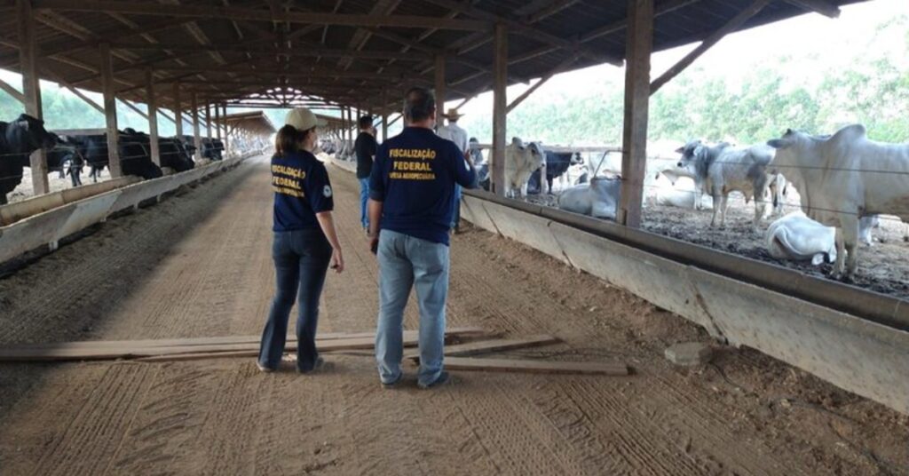 anffa sindical diz que anuncio de concurso e insuficiente para atender demanda no setor portal dbo