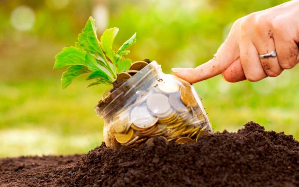 Bioeconomia das plantas medicinais para agricultores é tema de curso 2 bioeconomia das plantas medicinais para agricultores e tema de curso 1