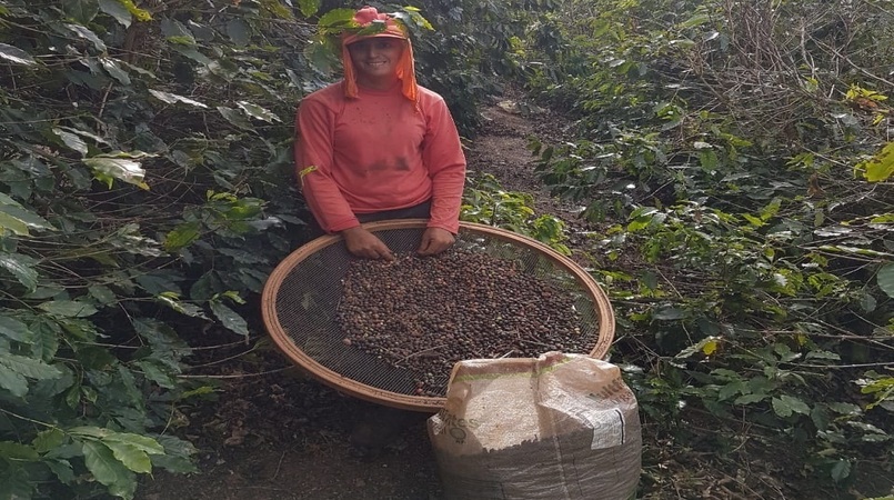 cafeicultura emater minas e cnc assinam pacto contra o trabalho analogo a escravidao