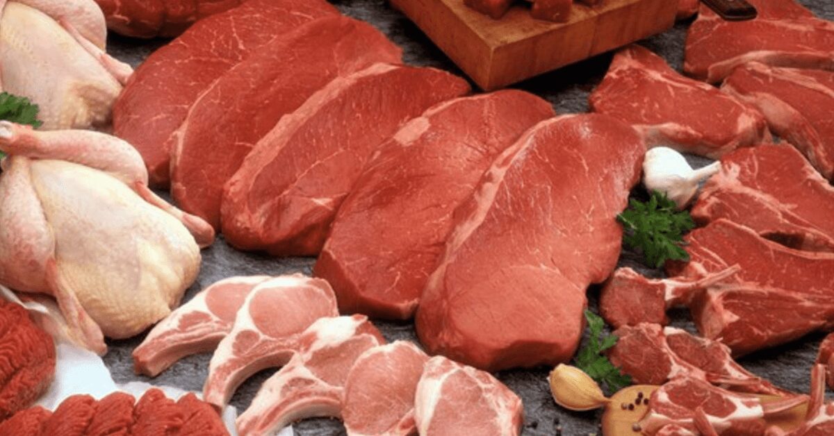 carnes ovos e leite sao fontes de nutrientes essenciais para a saude das pessoas atesta a fao portal dbo