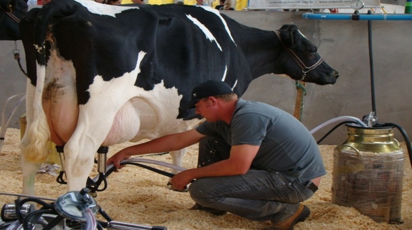 Cepea projeta fim de altas no preço do leite ao produtor a partir do 3º bimestre