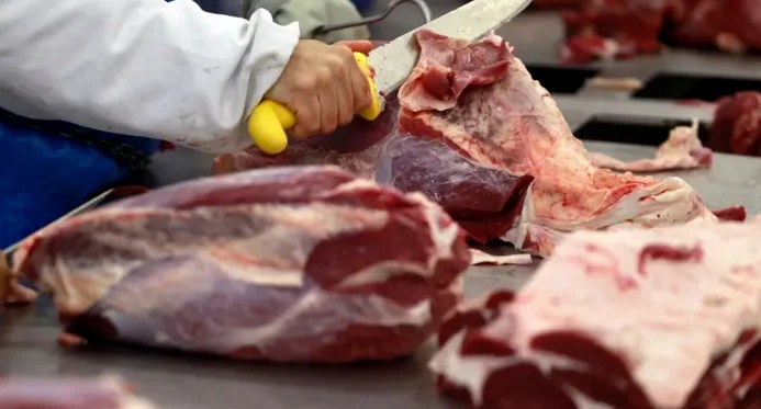 china libera estoque de carne bovina brasileira