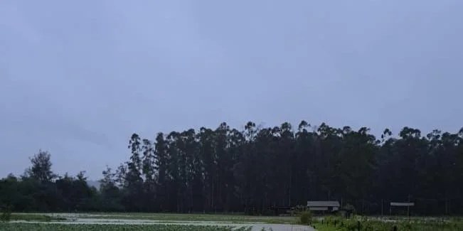 ciclone deixa perdas de r 149 milhoes para a agricultura familiar gaucha