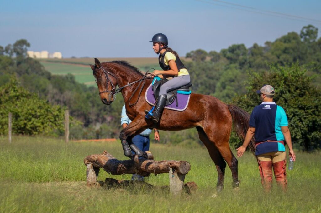 Clínica de Hipismo Rural destaca as habilidades do Cavalo Árabe para a prática do esporte 2 clinica de hipismo rural destaca as habilidades do cavalo arabe para a pratica do esporte