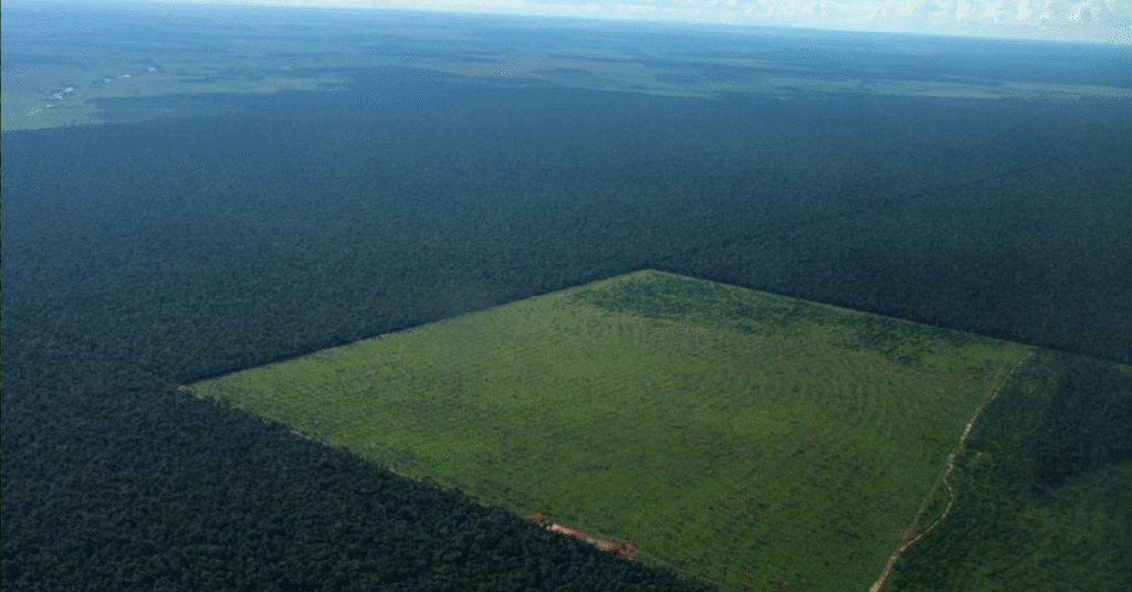 cna defende analise do car e regularizacao fundiaria na amazonia portal dbo