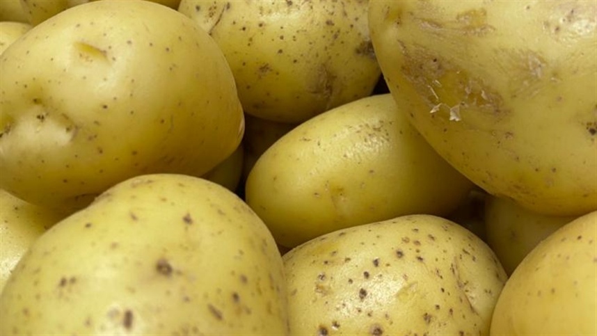 com oferta restrita precos da batata sobem nos atacados 1