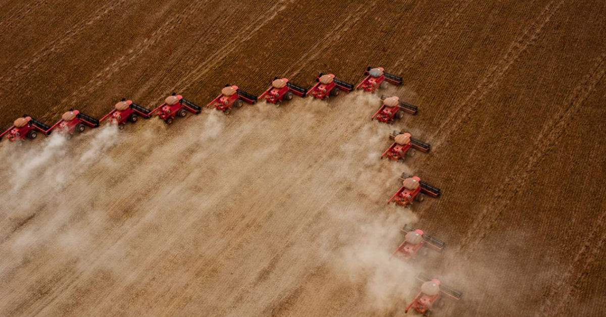 Commodities mantêm deflação no atacado no IGP-10, afirma FGV • Portal DBO 1 Commodities mantêm deflação no atacado no IGP-10, afirma FGV • Portal DBO
