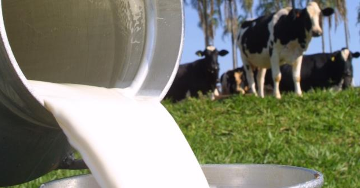 depois de altas consecutivas no 1 quadrimestre precos sinalizam queda portal dbo