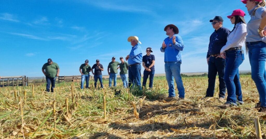 desafios climaticos aumentam potencial para a integracao lavoura pecuaria no vale do araguaia portal dbo
