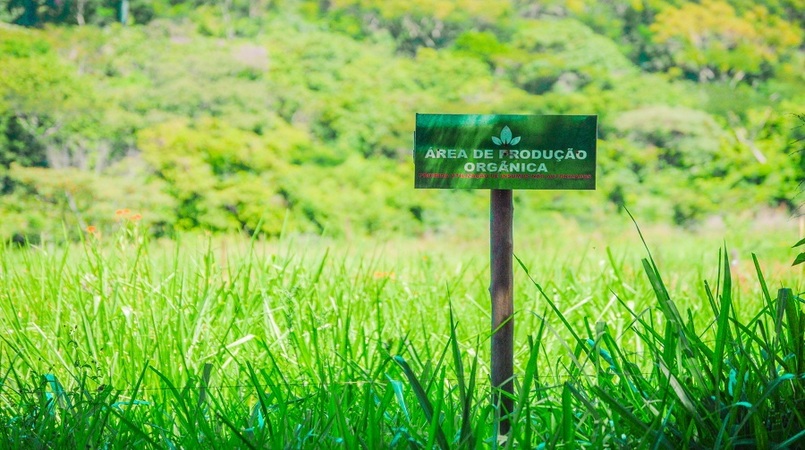 embrapa oferece curso imersivo de pecuaria leiteira organica em fazendas certificadas