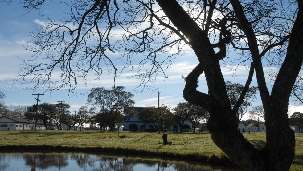 embrapa pecuaria sul completa 48 anos com foco nos sistemas sustentaveis de producao