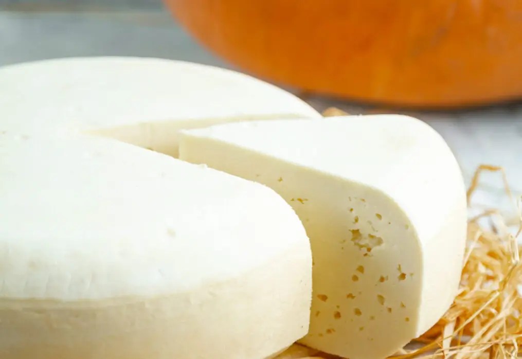 expoagro 2023 tera oficinas tecnicas de couro e leite