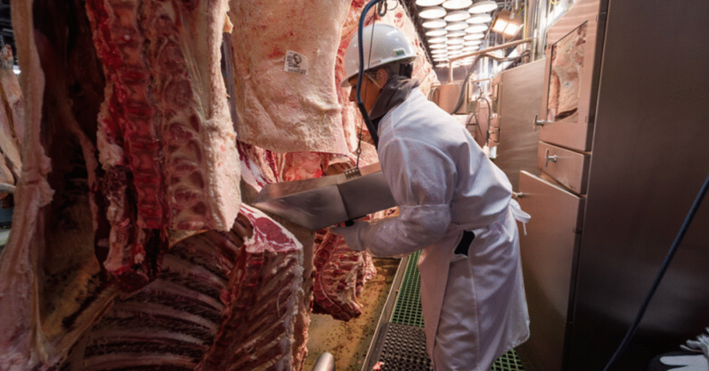 exportacoes brasileiras em maio crescem 11 no volume aponta a abrafrigo portal dbo