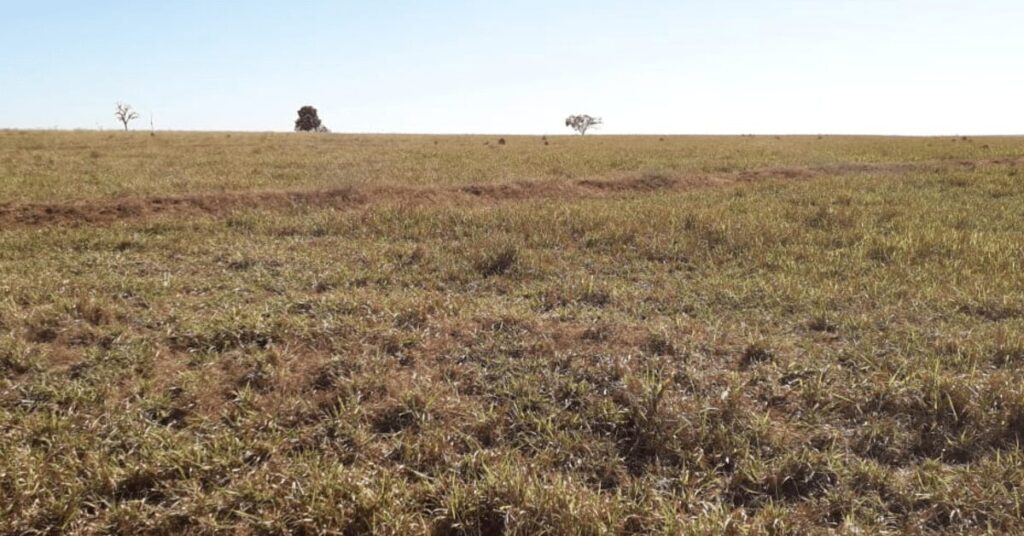 falta de chuva se intensifica em junho com tendencia de piora ate o fim do mes portal dbo