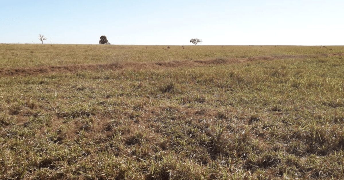 falta de chuva se intensifica em junho com tendencia de piora ate o fim do mes portal dbo