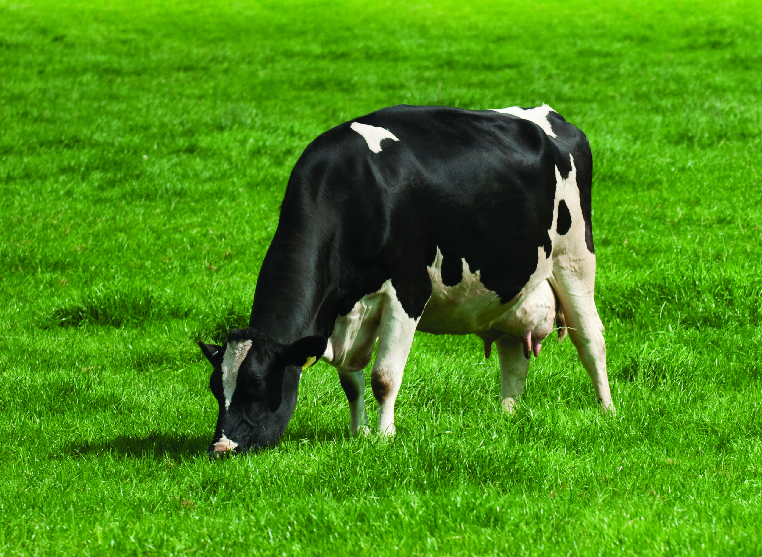 farm orgs call for no milk price reductions in may 1