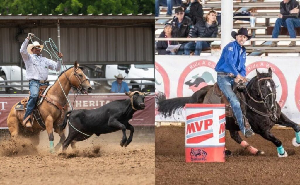 final de semana de sucesso