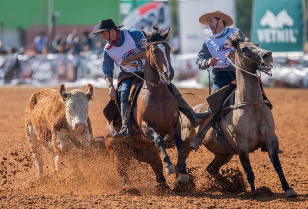 freio de ouro 2023 tem mais uma classificatoria em solo brasileiro