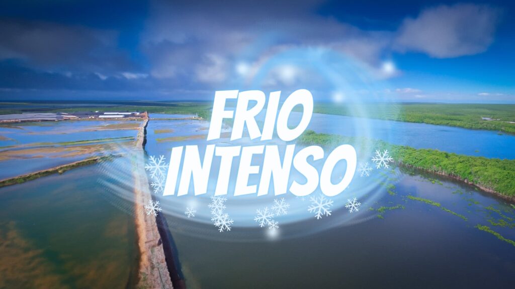 Gado em clima frio - Frio intenso afeta mercado de peixes e preços da tilápia oscilam