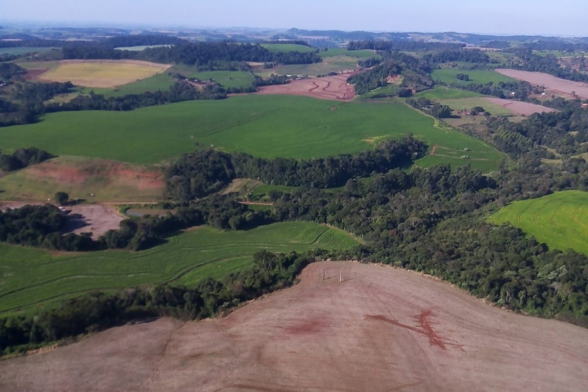 iat aplica mais de r 3 milhoes em multas por desmatamento ilegal na regiao sudoeste